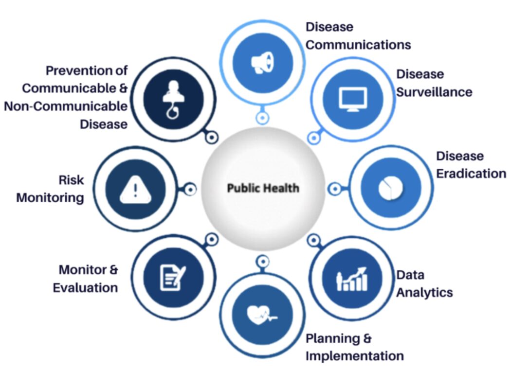 Infographic of public health functions and icons